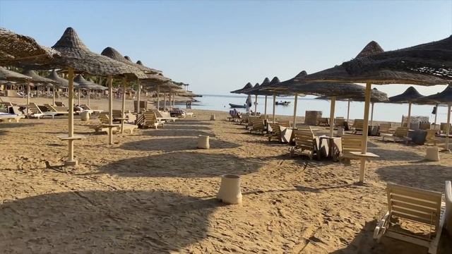 #ЯБіжу - Марса Алам - Brayka | IRun - Brayka смотреть онлайн