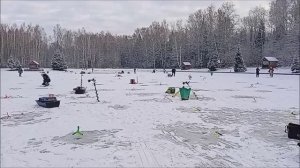 Запускная ловля закончилась, настала пора трудиться. Ловля форели на Нижнем водоёме. Клёвое место