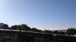 #Астрахань #Бойные #Голуби. Голуби Борисенко Виктора в Астрахани 1.06.19.