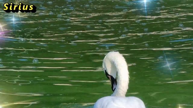 13 мая день Якова: что категорически нельзя делать смотреть онлайн