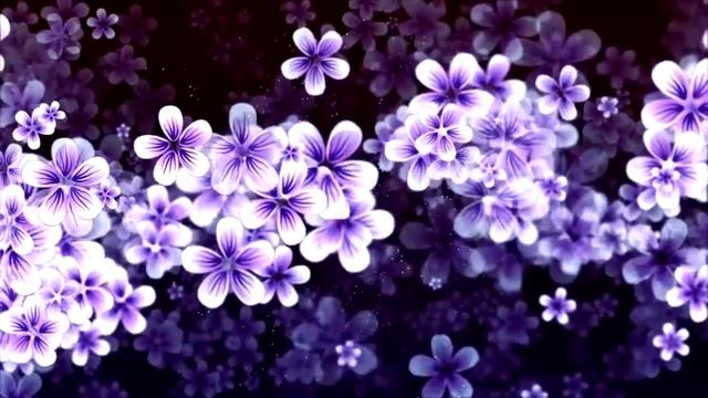 Видеофоны, заставки, футажи HD - #21 смотреть онлайн