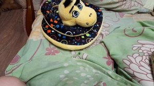 игварь №19 буква т