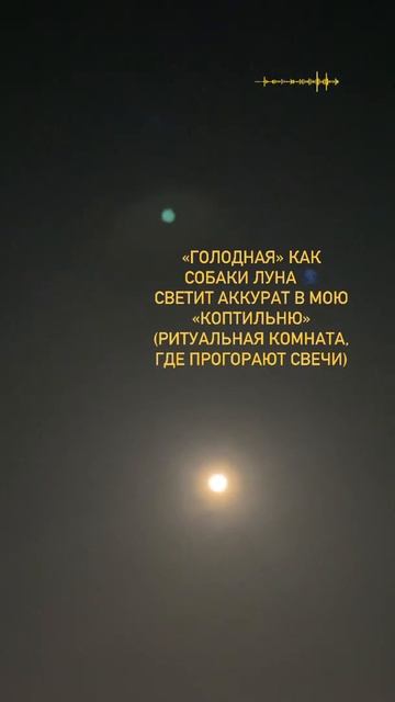 «ГОЛОДНАЯ» луна 🌑 #полнолуние #февраль #магия #ритуалы #стихии #энергии #высшиесилы #космос