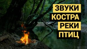 Натуральные звуки природы | Треск костра и шум реки