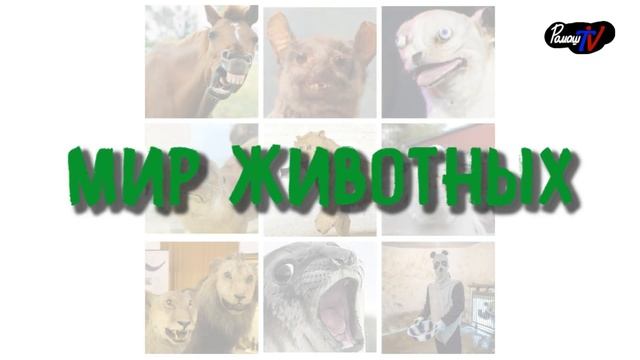 Анонс. Тайны планеты Земля. 1 сезон смотреть онлайн