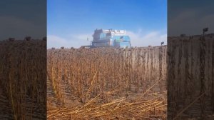 Славутич КЗС - 9-1 на соняшнику( 2019.)