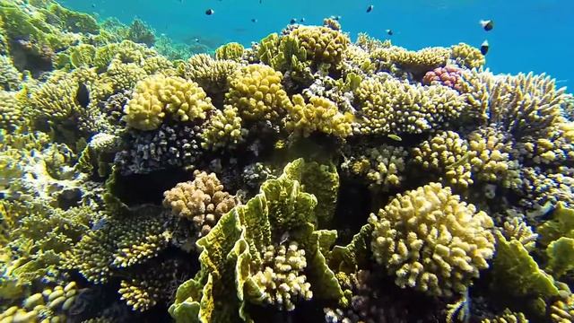 Marsa Alam смотреть онлайн