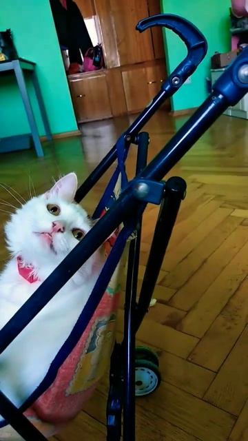 Хочу в космос