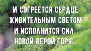 Я колени склоню - минус мой