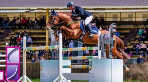 Буденновский жеребец Гуливер 7 (Гульдэн-Имба) 2011 Соревнования по конкуру Кировский КЗ 08.05.2019