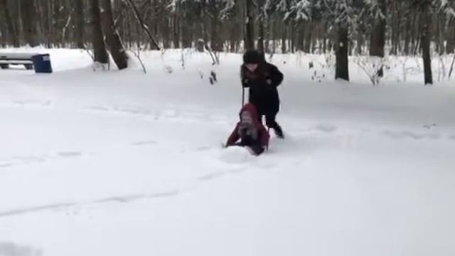 1 декабря 2018 парк ВДНХ Киев смотреть онлайн