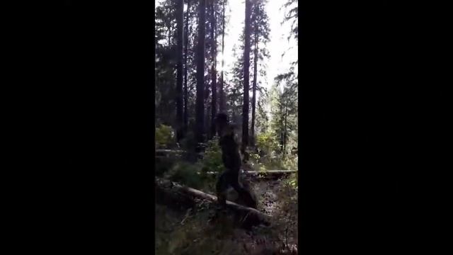ШНИВА, прем прямо по деревьям! Поездка с ПРЕПЯТСТВИЯМИ. Пилим ветки, таскаем на тросе деревья!))