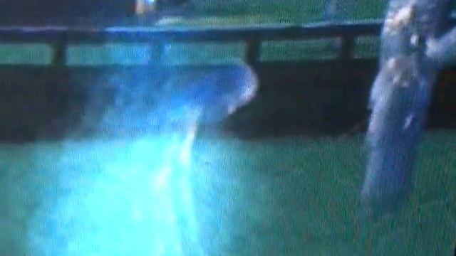 Death Vs. A Ghost In Sims 2 смотреть онлайн