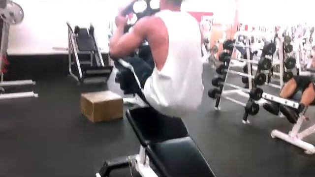 abs abs abs the shredder