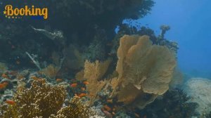 Novotel Marsa Alam 5* egypt, египет марса алам 2021