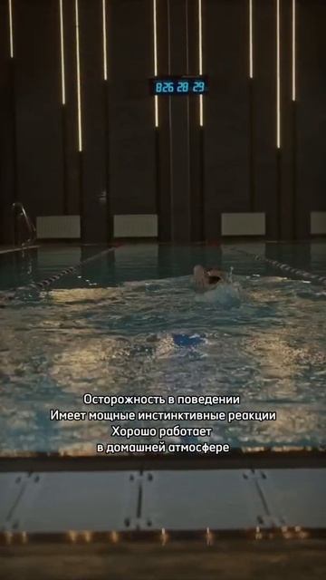 Марс в Раке #астрологическаяконсультация #консультацияастролога #астрология #марс #спорт