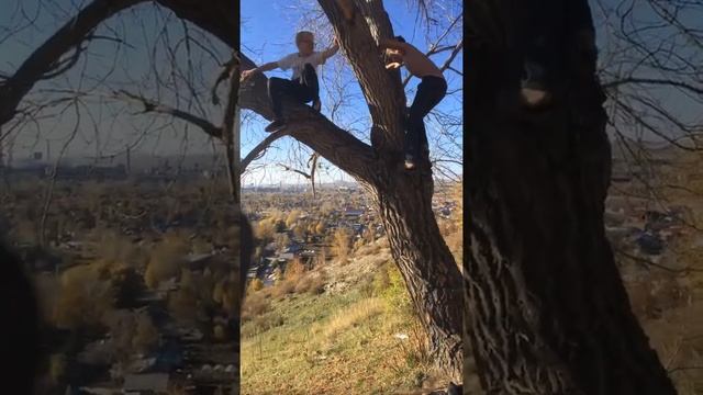 Тарзанка жесть!!! смотреть онлайн