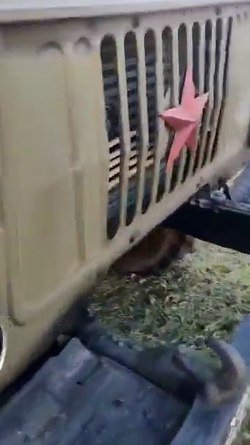 газ 66 смотреть онлайн