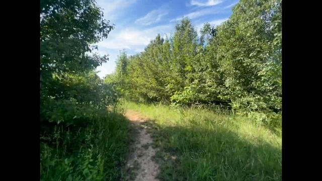 75 Hard challenge. Day 32, daily videos to journal and track my progress. смотреть онлайн