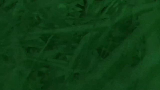 Ukraine launches Neptune missile Russia Loses 1 aircraft carrier several fighter jets arma 3 смотреть онлайн