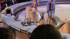 Цирк Дикая планета  Луганск 2024