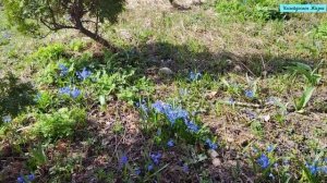 Рязань. Свято-Троицкий мужской монастырь Сергия Радонежского. Прогулки с Анжелиной.