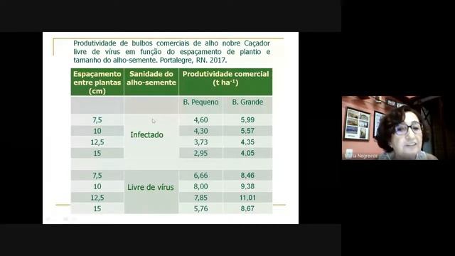 LIVE ALHO I - SISTEMA PRODUTIVO DO ALHO DO NORDESTE BRASILEIRO смотреть онлайн