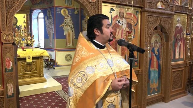 Проповедь в неделю о блудном сыне смотреть онлайн