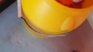 Что хранится на мостике? LSA FFE on the bridge