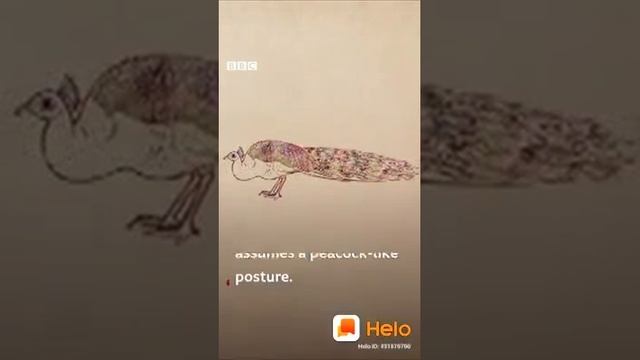 Saturn yoga смотреть онлайн