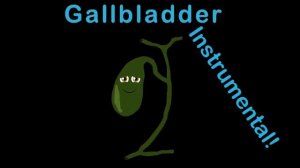KLT - Gallbladder Instrumental