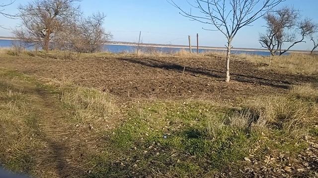 VID_20250109_121836