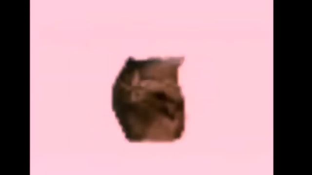 КОТ ЛЮТО КРУТИТСЯ ПОД МУЗЫКУ 1 ЧАС! смотреть онлайн