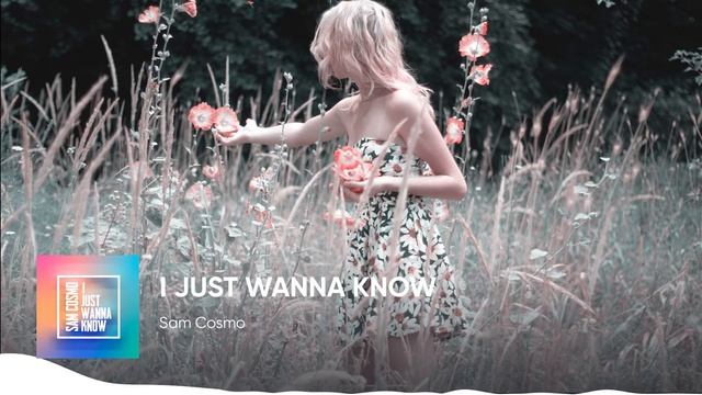 Sam Cosmo - I just wanna know смотреть онлайн