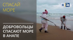 Добровольцы спасают море в Анапе. Работа оперштаба. Спасай море