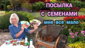 Посылка с семенами. А мне все мало#семена#сад#огород