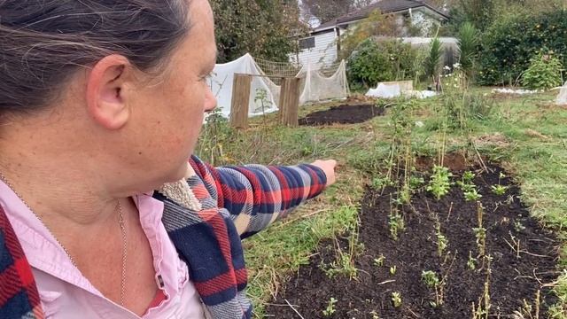 May flower farm tour, Blooms on the Hill смотреть онлайн