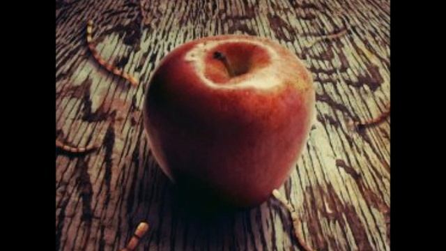 Silver Loves Mercury - Burn! смотреть онлайн