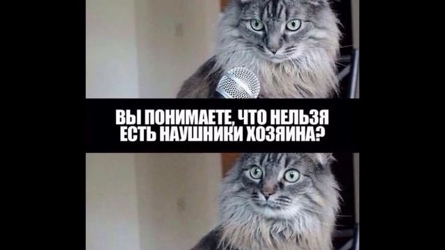 1 декабря 2023 г. смотреть онлайн