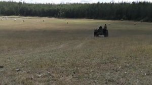 Самодельный вездеход