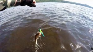 Открытие сезона 2024