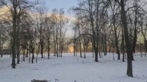 Тебе, мой юный Петербург...