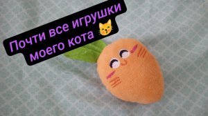 Почти все игрушки моего котёнка 🐱