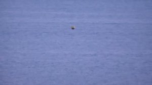 НЛО в Севастополе