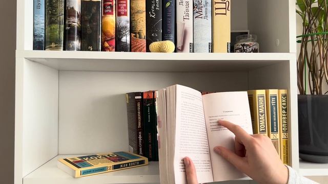 мои книжные полки🖤 смотреть онлайн