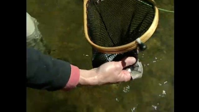 Fly Fishing Part 2 смотреть онлайн