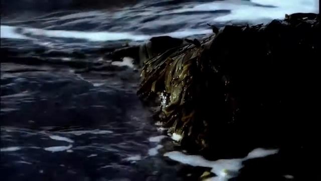 Эволюция Земли Суровое прошлое единственной живой планеты Фильм про космос, смотреть онлайн