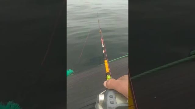 375 кг за 3 часа. смотреть онлайн