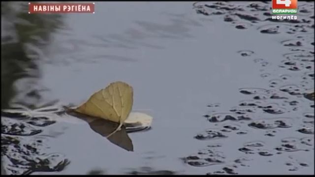 Дожди уходят из Могилевской области смотреть онлайн