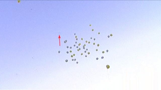 Sky Fish Небесные рыбы или НЛО россия краснодар